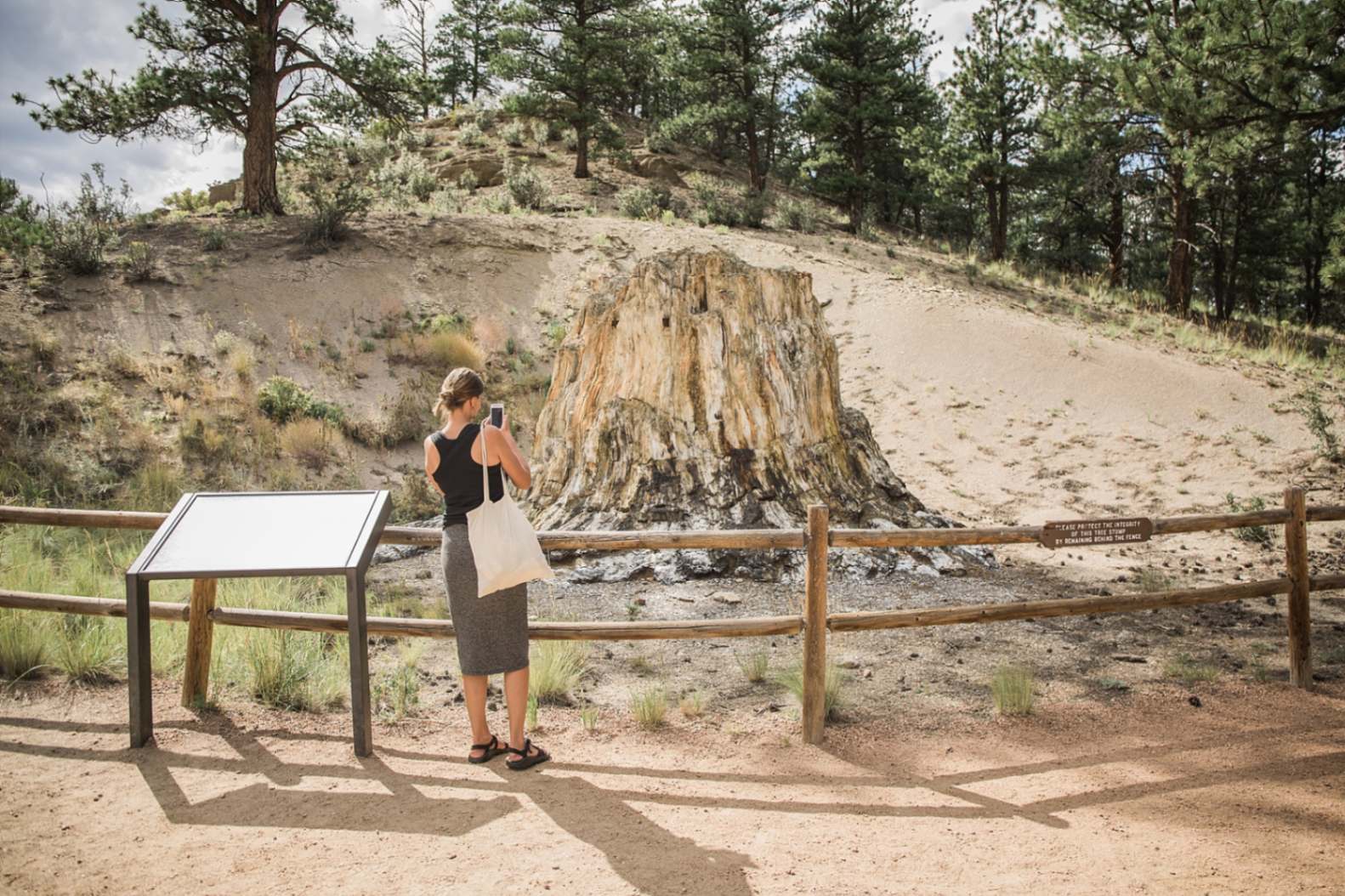 Florissant Fossil Beds National Monument